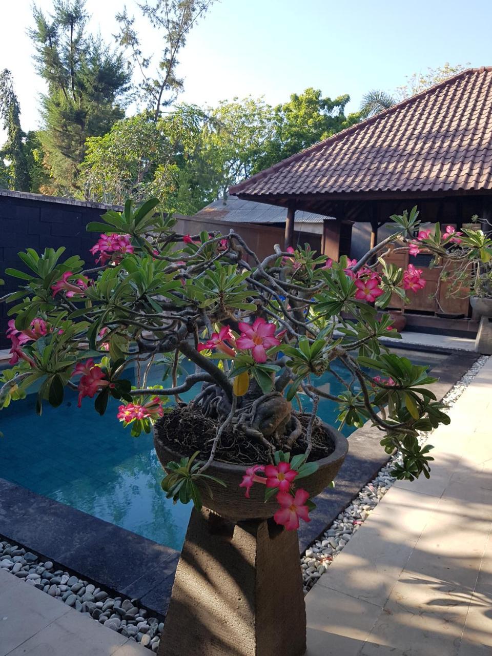 Gili Exotic Villa Gili Trawangan Exteriér fotografie